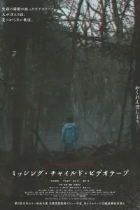 Видеозапись исчезновения ребёнка